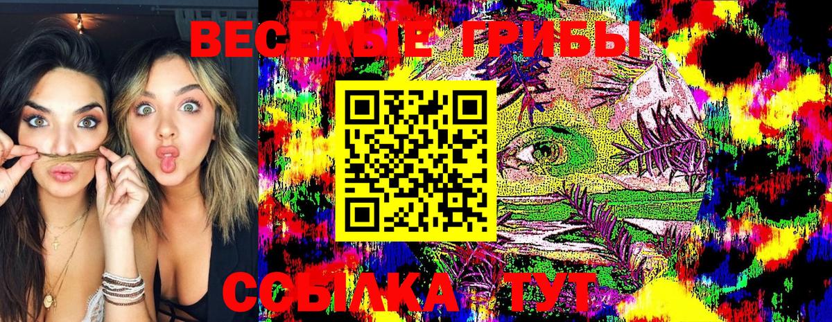 Псилоцибиновые грибы GOLDEN TEACHER Белгород