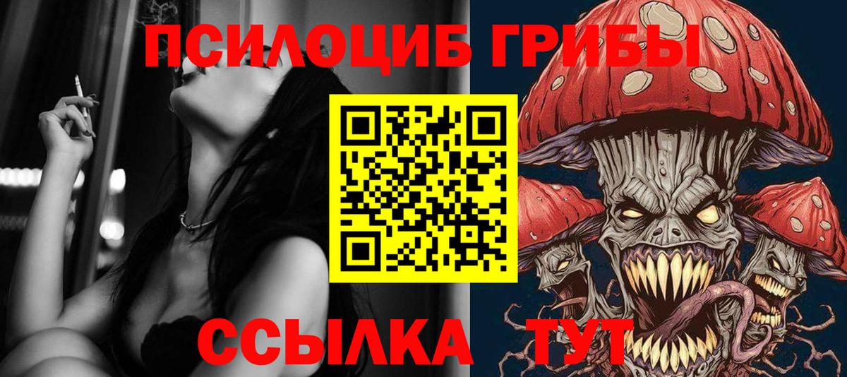 Галлюциногенные грибы Psilocybine cubensis  Псилоцибиновые грибы Psilocybine cubensis  Белгород  Вход с VPN 